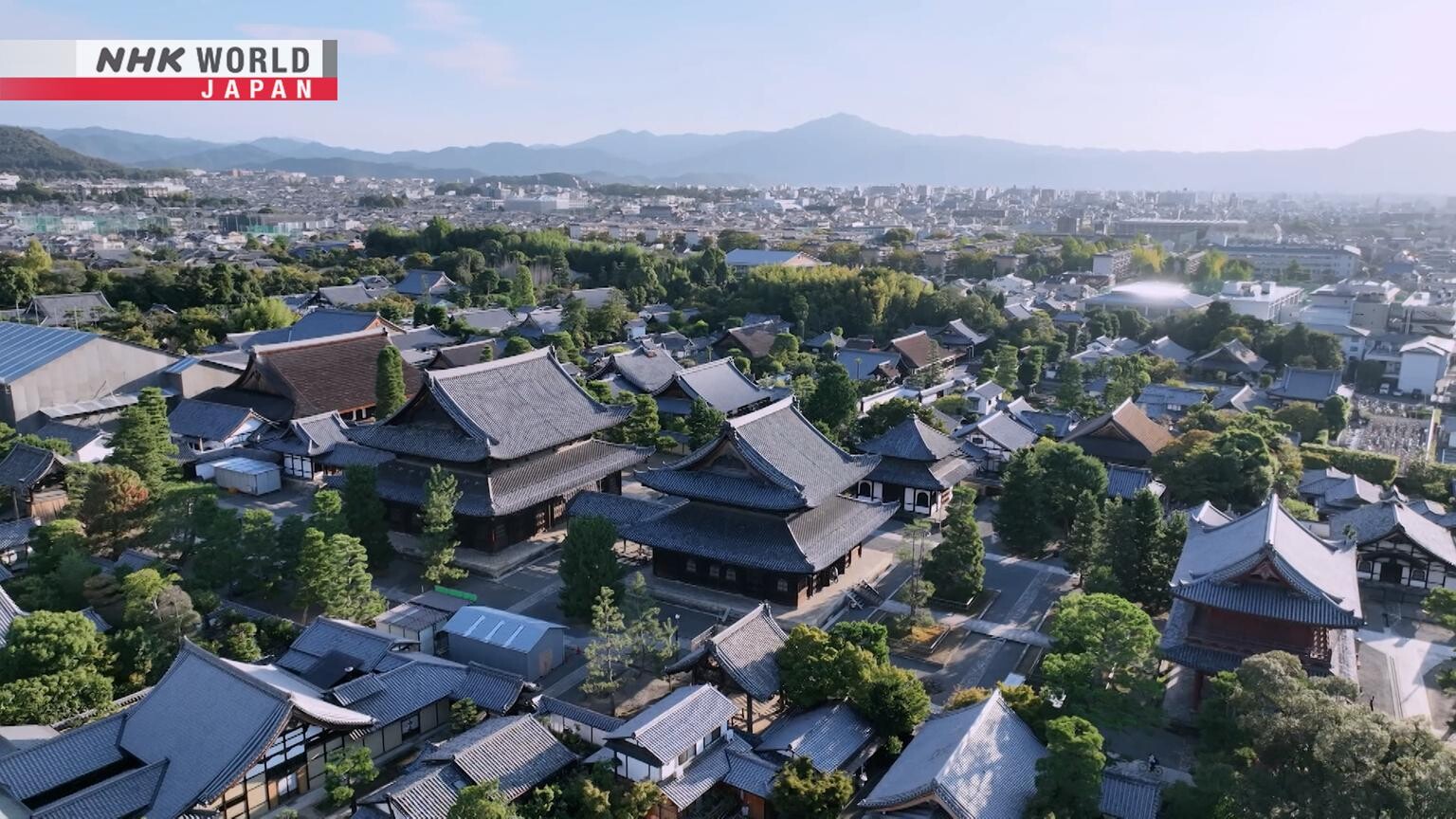 Myoshi-ji (The Garden Way)